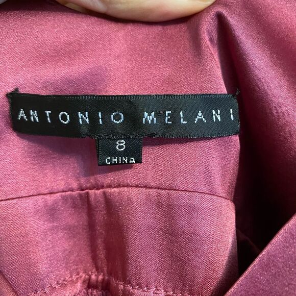 ANTONIO MELANI Rose Silk Dress Size 8 - Picture 5 of 10